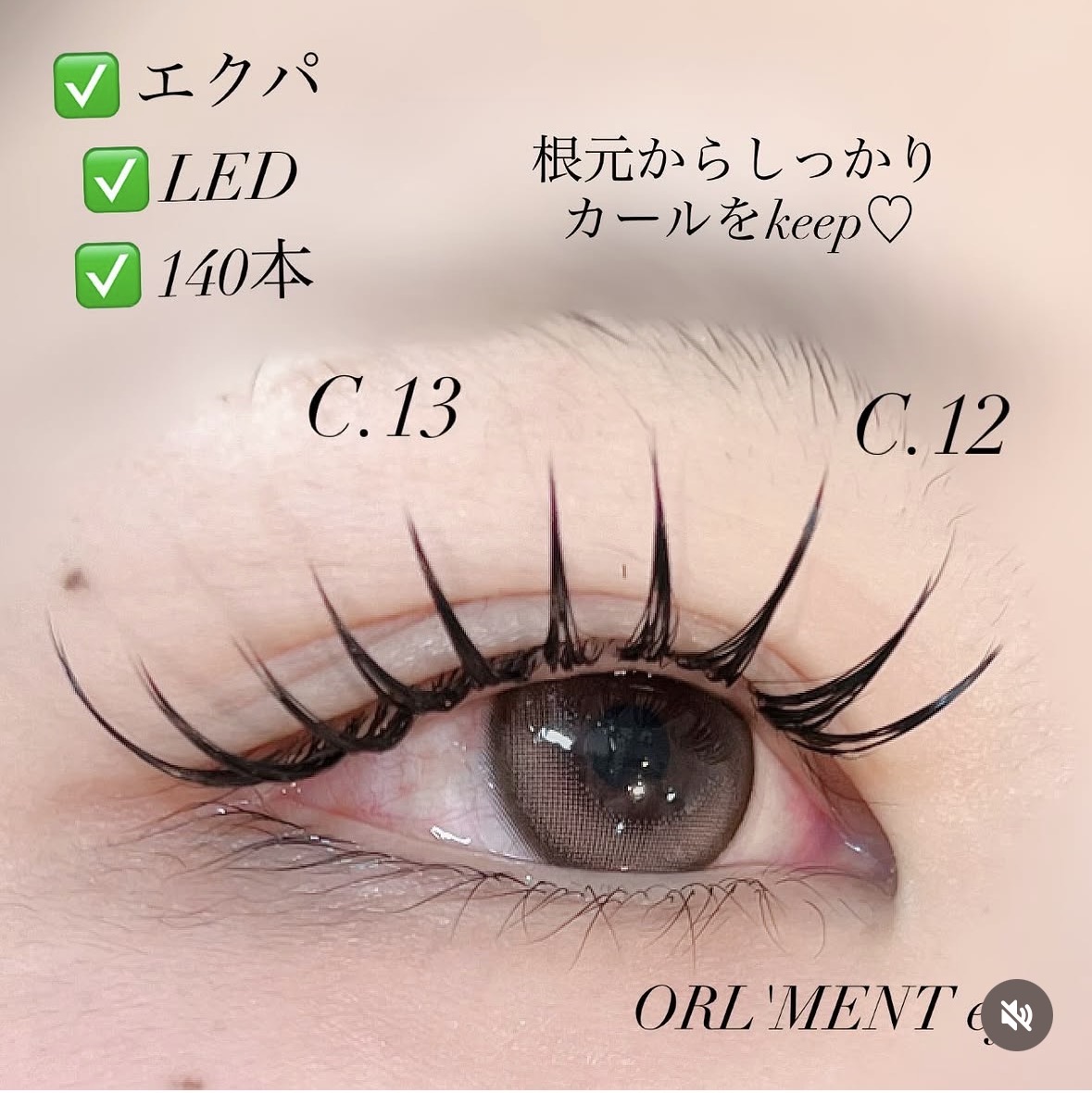 無題の投稿339
